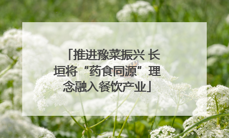 推进豫菜振兴 长垣将“药食同源”理念融入餐饮产业