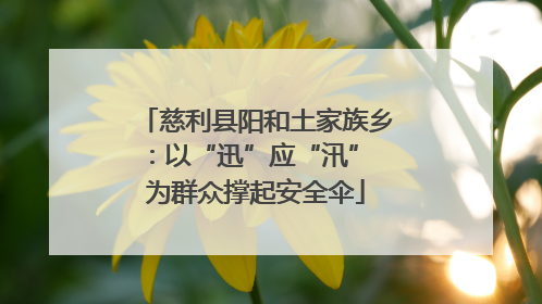慈利县阳和土家族乡：以“迅”应“汛” 为群众撑起安全伞