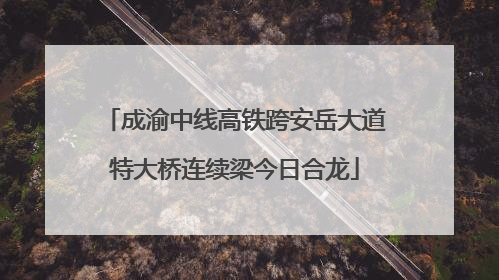 成渝中线高铁跨安岳大道特大桥连续梁今日合龙