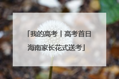 我的高考丨高考首日 海南家长花式送考