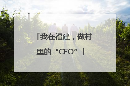 我在福建,做村里的“CEO”