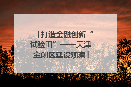 打造金融创新“试验田”——天津金创区建设观察