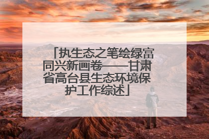 执生态之笔绘绿富同兴新画卷——甘肃省高台县生态环境保护工作综述