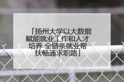 扬州大学以大数据赋能就业工作和人才培养 全链条就业帮扶畅通求职路