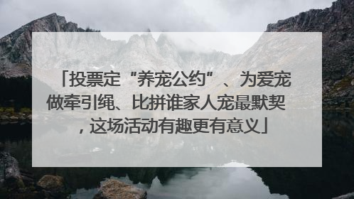 投票定“养宠公约”、为爱宠做牵引绳、比拼谁家人宠最默契，这场活动有趣更有意义