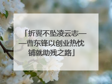 折翼不坠凌云志——曹东锋以创业热忱铺就助残之路