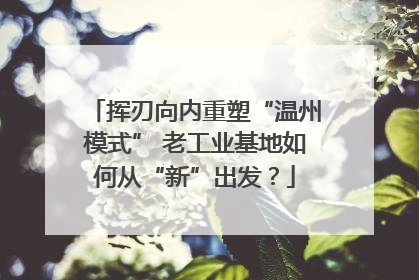 挥刃向内重塑“温州模式” 老工业基地如何从“新”出发？