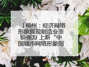 柳州：经济网络形象展现制造业重镇强力 上新“中国城市网络形象指数”报告