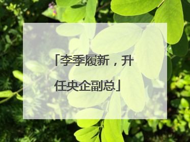 李季履新，升任央企副总