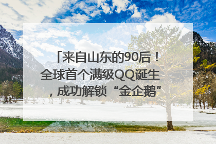 来自山东的90后！全球首个满级QQ诞生，成功解锁“金企鹅”，是继承父亲账号