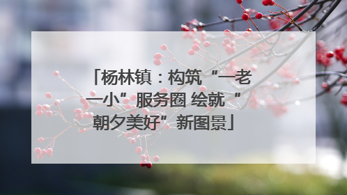杨林镇：构筑“一老一小”服务圈 绘就“朝夕美好”新图景