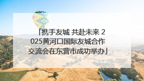 携手友城 共赴未来 2025黄河口国际友城合作交流会在东营市成功举办