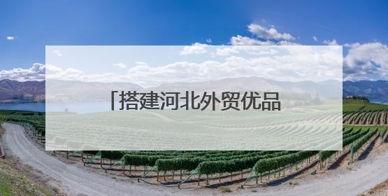 搭建河北外贸优品“卖全球”新通道