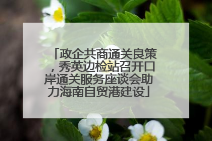 政企共商通关良策，秀英边检站召开口岸通关服务座谈会助力海南自贸港建设