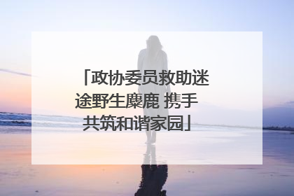 政协委员救助迷途野生麋鹿 携手共筑和谐家园