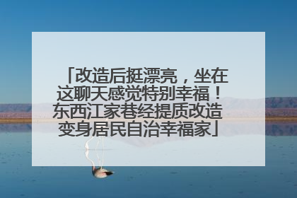 改造后挺漂亮，坐在这聊天感觉特别幸福！东西江家巷经提质改造变身居民自治幸福家
