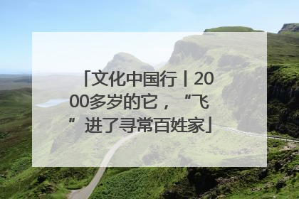 文化中国行丨2000多岁的它，“飞”进了寻常百姓家