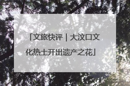 文旅快评｜大汶口文化热土开出遗产之花