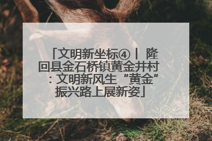 文明新坐标④丨 隆回县金石桥镇黄金井村：文明新风生“黄金” 振兴路上展新姿