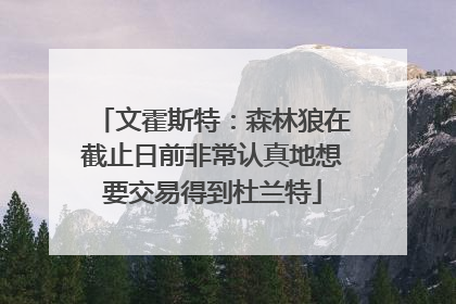 文霍斯特：森林狼在截止日前非常认真地想要交易得到杜兰特