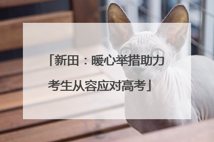 新田：暖心举措助力考生从容应对高考
