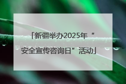 新疆举办2025年“安全宣传咨询日”活动