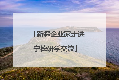 新疆企业家走进宁德研学交流