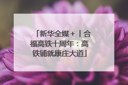 新华全媒＋丨合福高铁十周年：高铁铺就康庄大道