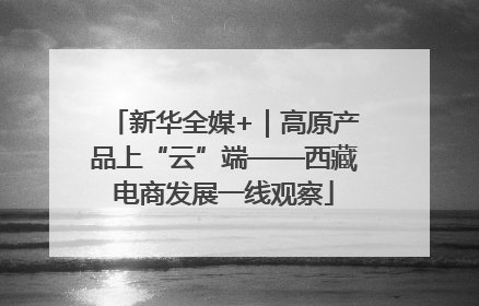 新华全媒+｜高原产品上“云”端——西藏电商发展一线观察