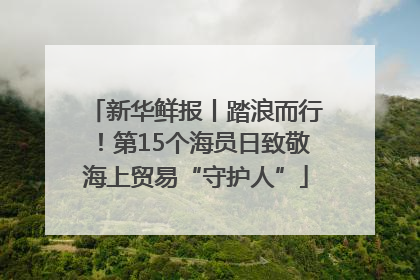 新华鲜报丨踏浪而行！第15个海员日致敬海上贸易“守护人”