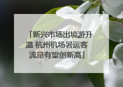 新兴市场出境游升温 杭州机场暑运客流量有望创新高