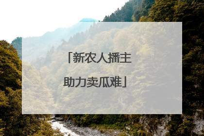 新农人播主 助力卖瓜难