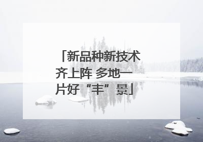 新品种新技术齐上阵 多地一片好“丰”景