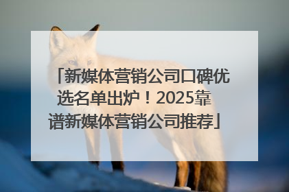 新媒体营销公司口碑优选名单出炉！2025靠谱新媒体营销公司推荐