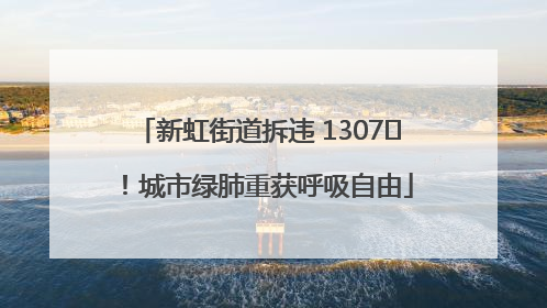 新虹街道拆违 1307㎡！城市绿肺重获呼吸自由