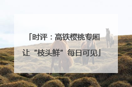 时评：高铁樱桃专厢 让“枝头鲜”每日可见