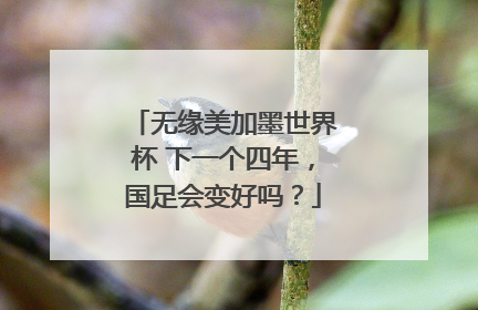 无缘美加墨世界杯 下一个四年，国足会变好吗？