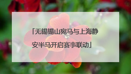 无锡锡山宛马与上海静安半马开启赛事联动
