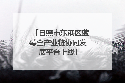 日照市东港区蓝莓全产业链协同发展平台上线