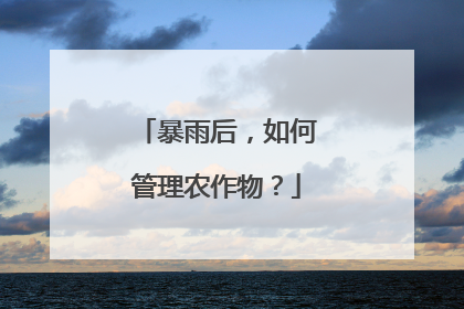 暴雨后，如何管理农作物？