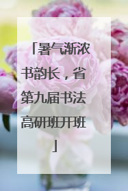 暑气渐浓书韵长，省第九届书法高研班开班