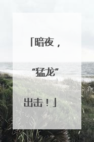 暗夜，“猛龙”出击！