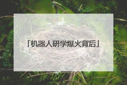 机器人研学爆火背后