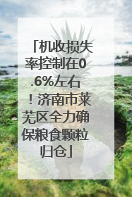 机收损失率控制在0.6%左右！济南市莱芜区全力确保粮食颗粒归仓