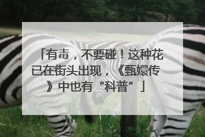 有毒，不要碰！这种花已在街头出现，《甄嬛传》中也有“科普”