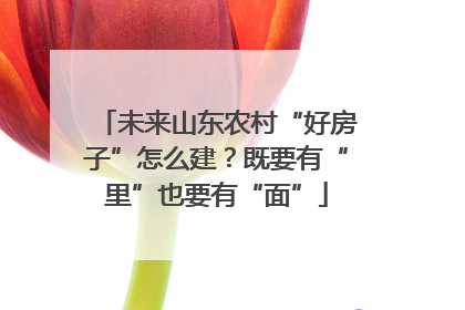 未来山东农村“好房子”怎么建？既要有“里”也要有“面”