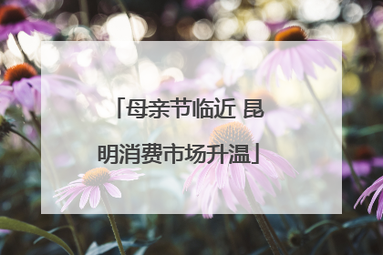 母亲节临近 昆明消费市场升温