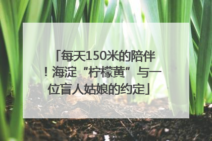 每天150米的陪伴！海淀“柠檬黄”与一位盲人姑娘的约定