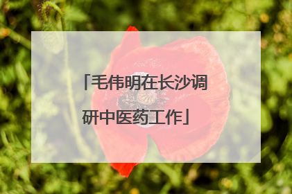 毛伟明在长沙调研中医药工作