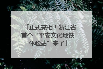 正式亮相！浙江省首个“平安文化地铁体验站”来了